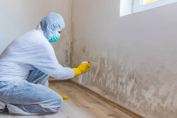 Licensed Mold Testing service in Culpeper, VA - WQB Mold Removal
