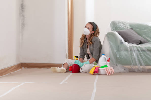 Reliable Mold Testing contractor in Culpeper, VA by WQB Mold Removal